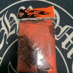 Item thumbnail for item 7e1fca6a-7fbf-4737-af33-6d4b91e0761d