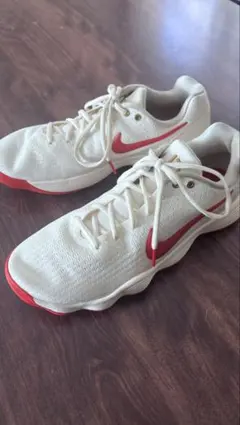 レア】 NIKE ナイキ テニスシューズ ズームヴェイパー9.5 フライニット