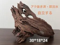 マシンガンウッドレイアウトセット 60cm水槽用 流木 - メルカリ