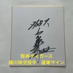 ソフトバンク ホークス 直筆色紙 　新人王　和田毅選手 直筆サイン ソフトバンク ホークス 直筆色紙 新人王 和田毅選手 直筆サイン - メルカリ