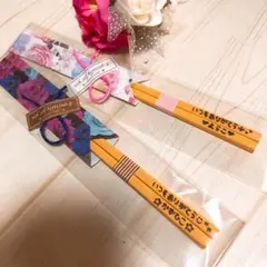 AYA様＊確認用カトラリー