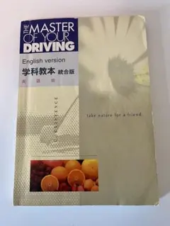 Item thumbnail for item 00952f53-69a9-48e2-924e-17ca951bfc3c