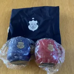 ヴァンフォーレ甲府 マグカップ 2個セット