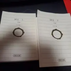 Item thumbnail for item f95c0165-931b-4dc2-ac5f-de41a78dcd30