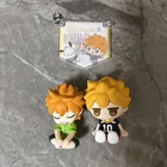 ハイキュー　日向翔陽　ガチャセット