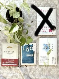 ◉バラ売り可 ３冊以上指定◉他出品本と組合わせも可能◉要問合せ◉