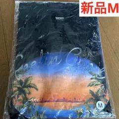 新品未使用】藤井風ポテチTシャツ（Seaweed）L - メルカリ