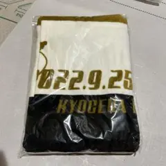 Item thumbnail for item 85c037d7-f88a-460b-b106-f8f592feb309