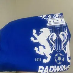 RADWIMPS 티셔츠 블루 L
