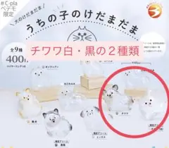 けだまだま　チワワ　白、黒の２個　ガチャガチャ　カプセルトイ　犬　限定アソート