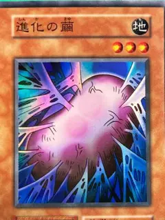 【 鑑定品 PSA9 】　美品　最安値　進化の繭　初期　スーパーレア 遊戯王 進化の繭 初期 スーパーレア 美品 鑑定品 PSA9 】 美品 最安値 進化