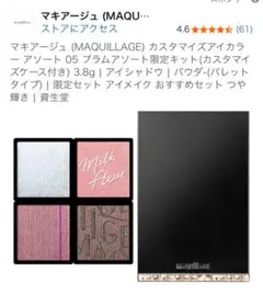 MAQUILLAGE　アイシャドウパレット05 ケース付
