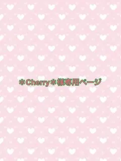 ＊Cherry＊様専用ページ