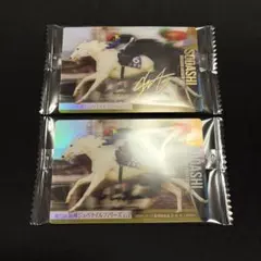 第72回阪神ジュベナイルフィリーズ ソダシ 記念カード 吉田隼人金箔