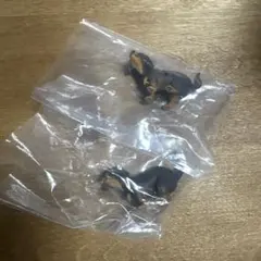 ふんばりーぬ3 ダックスフント2個セット