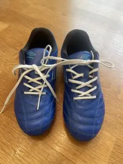 Item thumbnail for item 4fd5f6ac-c4ae-4751-9738-43bc681ba02d