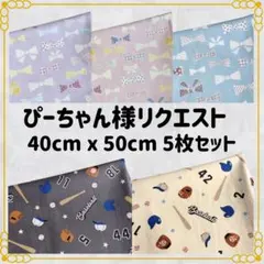 【ぴーちゃん様リクエスト】40×50 ランチョンマット ５枚セット