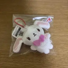 2025年最新】シュガーバニー ズの人気アイテム - メルカリ