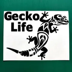 Item thumbnail for item 6fd79671-21c5-478c-a79b-8f10b0877a56