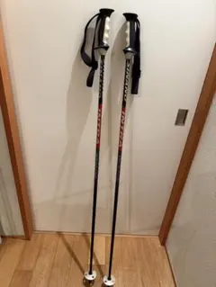 シナノ INTRA スキー ストック　ポール　115