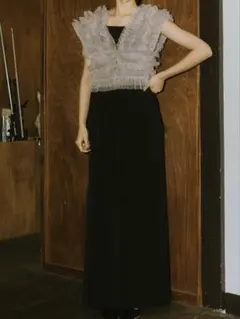 【ANDRESD】tulle vest all in one dress