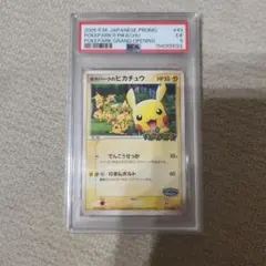 ポケパークのピカチュウ PROMO PCG-Pプロモカード 043/PCG-Pのサムネイル