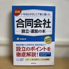 図解 いちばんやさしく丁寧に書いた合同会社設立・運営の本
