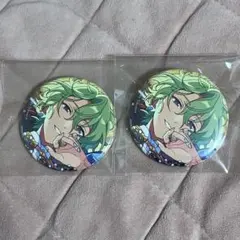 あんさんぶるスターズ 巴日和 ヴェリテ 缶バッジ