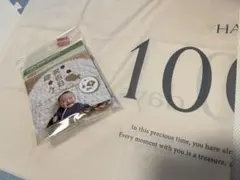 百日祝い飾り【アカチャンホンポ・3coins購入品】