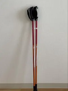 2025年最新】カワハラウォーキングの人気アイテム - メルカリ