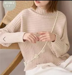 ROPÉ PICNICクロップドリブ切り替えニット４０サイズ