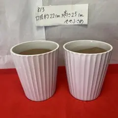 813 胡蝶蘭が入っていた植木鉢　陶器２個セット　やや小さめ