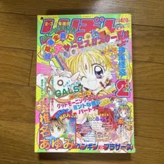 激レア！】りぼん ティーンズ 新春増刊号 1998年1月25日 ご近所物語