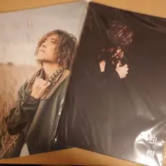 一十三十一 hitomitoi CITY DIVE LP レコード - メルカリ