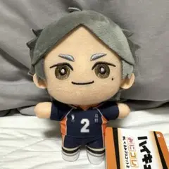 みにコレ　菅原　ハイキュー　アミューズメント