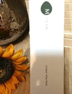 Item thumbnail for item b02d3940-9e0e-4ddd-9bcb-e7a1cf1258fd