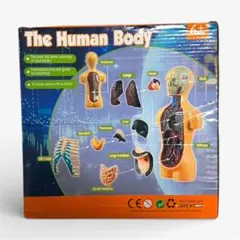 Item thumbnail for item 2dbb3fe4-cc32-4802-ae96-0d96b3b2572e