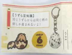 UZURA EGG うずらエッグ ノーマル