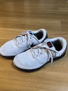 Item thumbnail for item fa913f22-2bbe-4438-af08-9268c39b8914