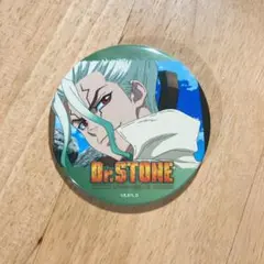 Dr.STONE Ani-Art 1弾 特典 ホログラム 缶バッジ 石神 千空 - メルカリ
