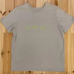【まあまあ✨】emmi yoga エミヨガ ロゴT サックス×グリーンのサムネイル