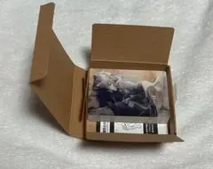 プロセカ　ノーブルアート　vol.54 朝比奈まふゆ