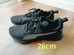 Item thumbnail for item 3746f851-d332-47d8-a341-d024e9dc136a