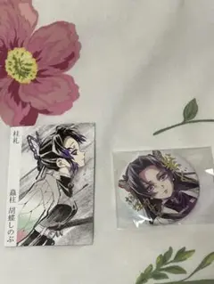胡蝶しのぶ 缶バッジとポストカードセット