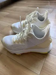 NIKE LEBRON WITNESS 4 EP 25.5cm レブロン