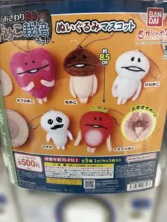 なめこ栽培キット　 約8.5cm