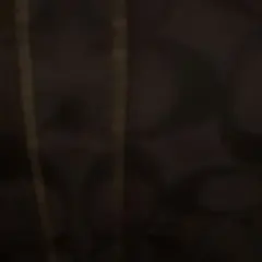 300専用