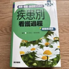 Item thumbnail for item ee43c714-a558-42b0-9347-a174fe1eff09