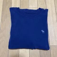 Abercrombie&Fitch ヘビーウェイトT メンズXS