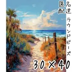 【売尽し中】ダイヤモンドアートキット【晴れた日の海辺の小道 】ラウンド　95-6
